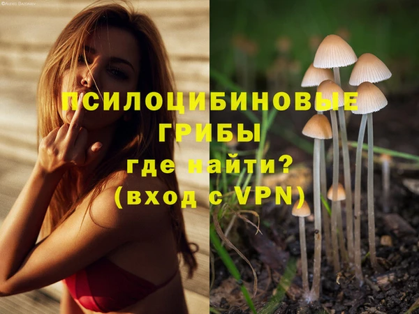apvp Белокуриха
