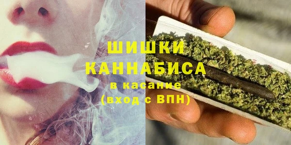 сатива Белоозёрский