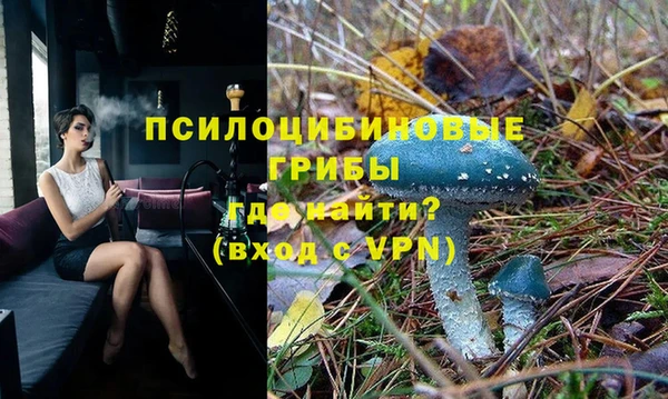 сатива Белоозёрский