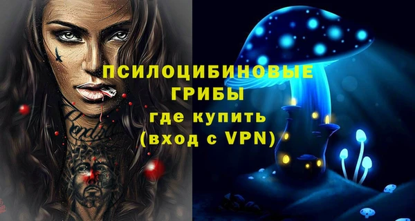 сатива Белоозёрский
